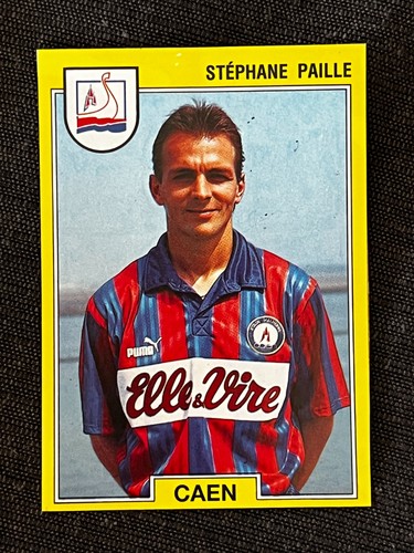 Vignette sticker panini - vignette,
