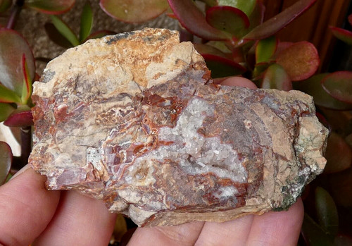 Lithophyse massif de - du,