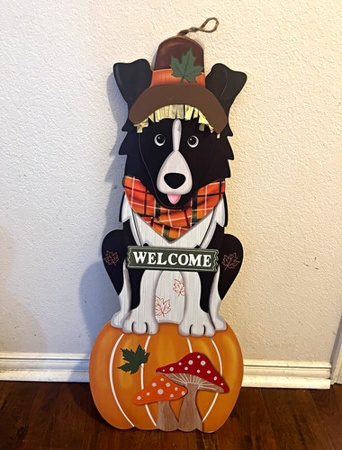 Fall border collie dog - collie,