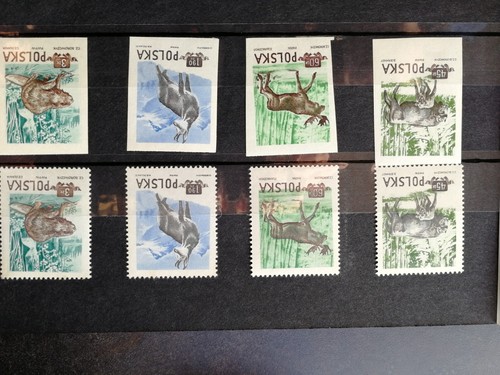 Pologne timbres neufs - ,