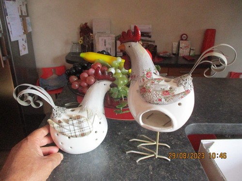 Joli couple coq poule à - et, sa