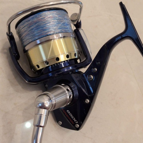 Moulinet pêche daiwa - moulinet, de