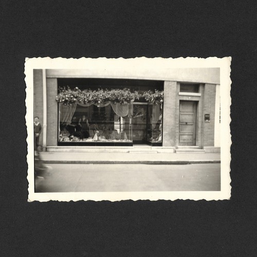Vitrine magasin laurence - magasin,