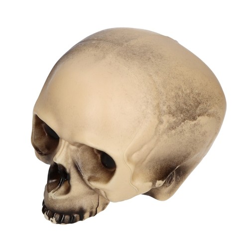 Réplique réaliste human - réplique,