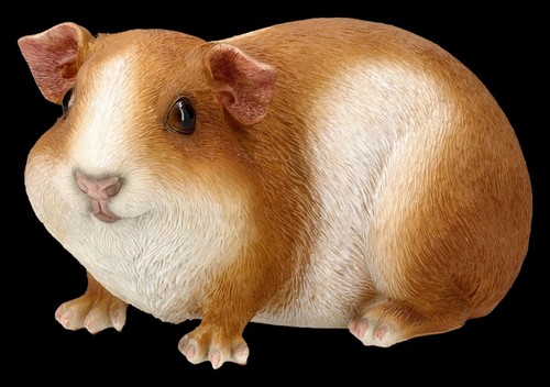Figurine jardin cochon - figurine,