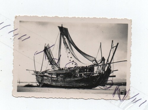 A1170 photo vintage snapshot - a1170,