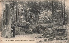 22 LES BRUYERES DE SEVRES PIERRE DRUIDIQUE