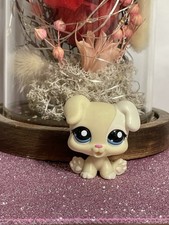 🌸Petshop CHIEN  Boxer Chiot