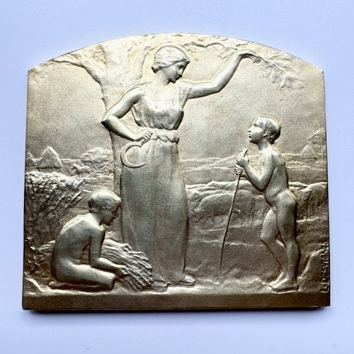 Plaque médaille bronze - plaque,
