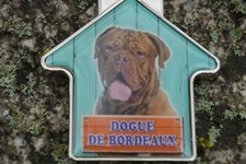 O09  MAGNIFIQUE  PORTE CLE