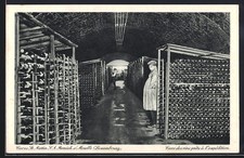 Old postcard Remich, Caves St. Martin, Cave des vins ready a l ́expedition 