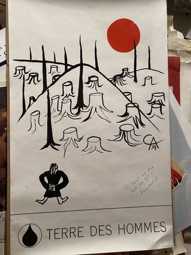 Magnifique litho calder terre - magnifique,