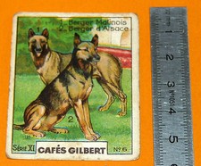 1920 1930 CHROME CAFE GILBERT BERGER MALINOIS BERGER D'ALSACE SERIES XI N°6