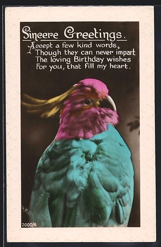 Carte postale cacatoès - carte,