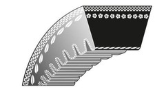 Courroie Trapezoidale Tondeuse