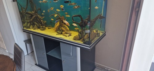 Aquarium complet avec meuble - complet,