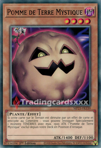 Pomme de terre - pomme,