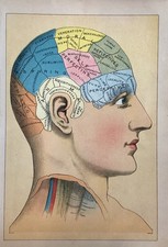 PHRENOLOGY HEAD DIAGRAM –