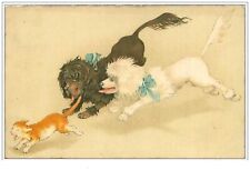 CHATS.n°1180.CHIEN NOIR ET CHIEN BLANC COURANT APRES UN CHAT