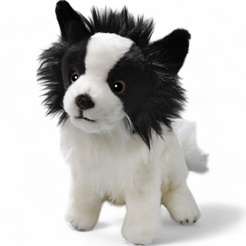 Carl dick chihuahua chien - chihuahua,