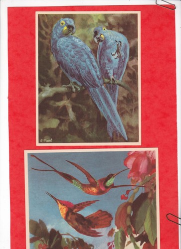 Rare série 1954 - 2,