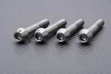 4 Vis d'étriers de Frein