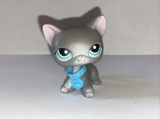 Petshop - European Cat #126 -