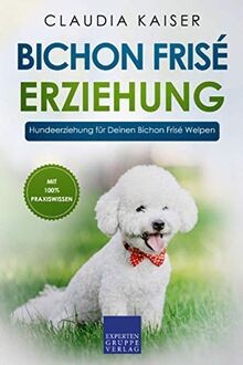 Bichon frisé erziehung - bichon,