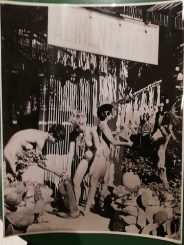 Photo film autour monde - photo,