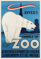 ANVERS ZOO OURS BLANC Rtha-POSTER HQ 50x70cm d'une AFFICHE VINTAGE