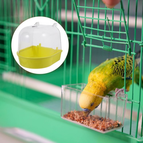 Perruche petit bain oiseaux - petit,