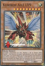 ♦ Yu-Gi-Oh!♦ Winged Kuriboh LV9 (Winged): AC19-FR005 -VF/Super Rare-