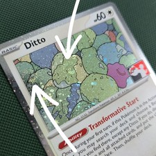 DOUBLE WHOLE SWIRL 🌀💫