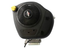 12,5 PS Briggs & Stratton