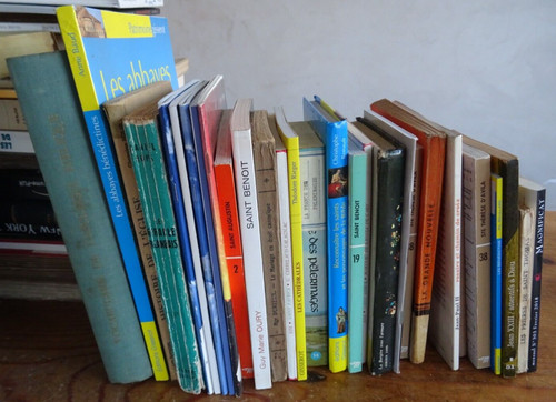 Lot livres plaquettes - livres,