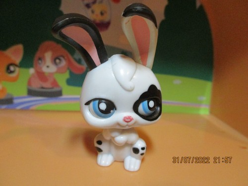 Petshop lapin garenne 04 - lapin, pp