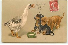 Animals - Chiens - Two puppies looking at a goose - Dachshund - Dachshund - ST139 - 340