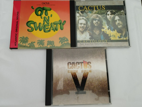 Lot de cactus - lot,