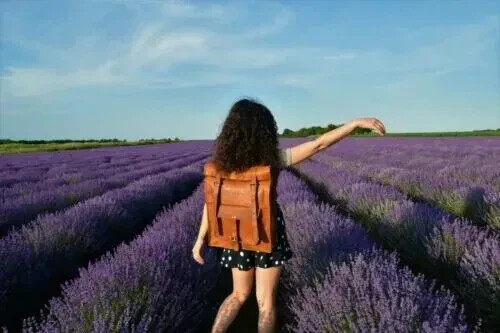 Sac dos roulettes - à, en