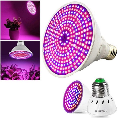 Ampoule culture lampe de - ampoule,