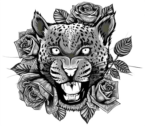Black panther tiger roses - panther,