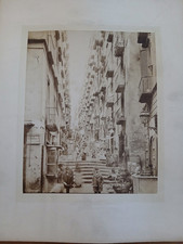 SUPERBE GRANDE PHOTO