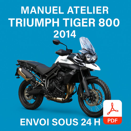 Manuel atelier triumph tiger - manuel,