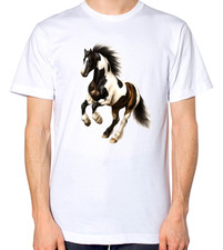 Gypsy Vanner Irish Cob Horse