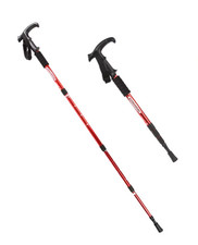 Bâton de randonnée