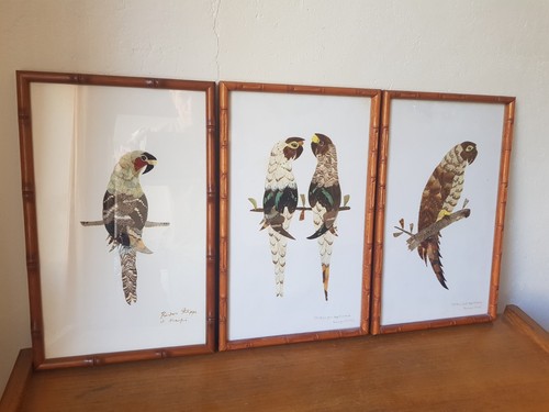 Tableaux oiseaux ailes de - tableaux,