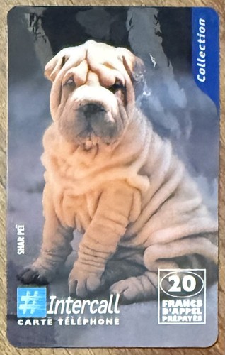 Chien dog shar pei carte - chien,