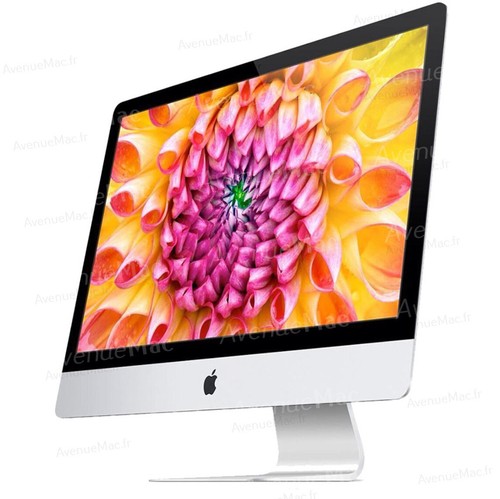 Moniteur écran externe - ,