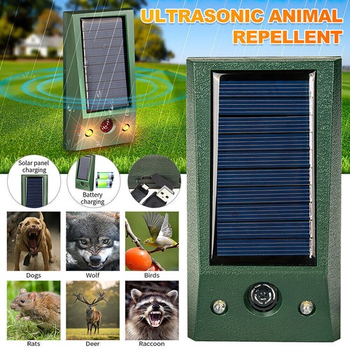 Répulsif solaire ultrasons - solaire,