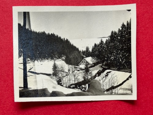 Photo moulin myrtilles - moulin,